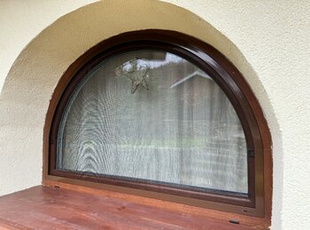 Insect screens in custom design